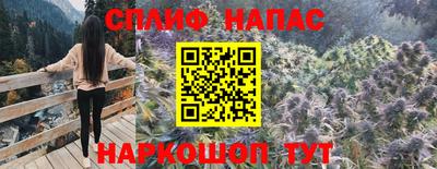 гашик Краснодар