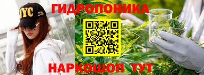 ГАЛЛЮЦИНОГЕННЫЕ ГРИБЫ Краснознаменск