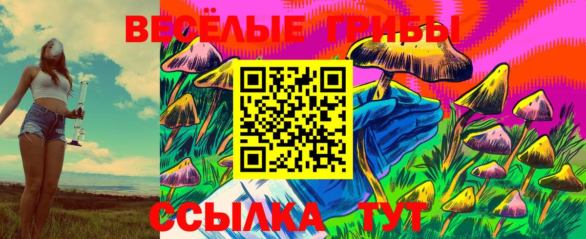 Галлюциногенные грибы GOLDEN TEACHER  Вход с VPN  Псилоцибиновые грибы GOLDEN TEACHER  Тихвин 